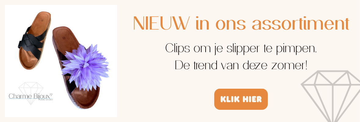 Ga naar Slipper clippers