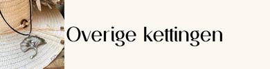 Ga naar overige kettingen