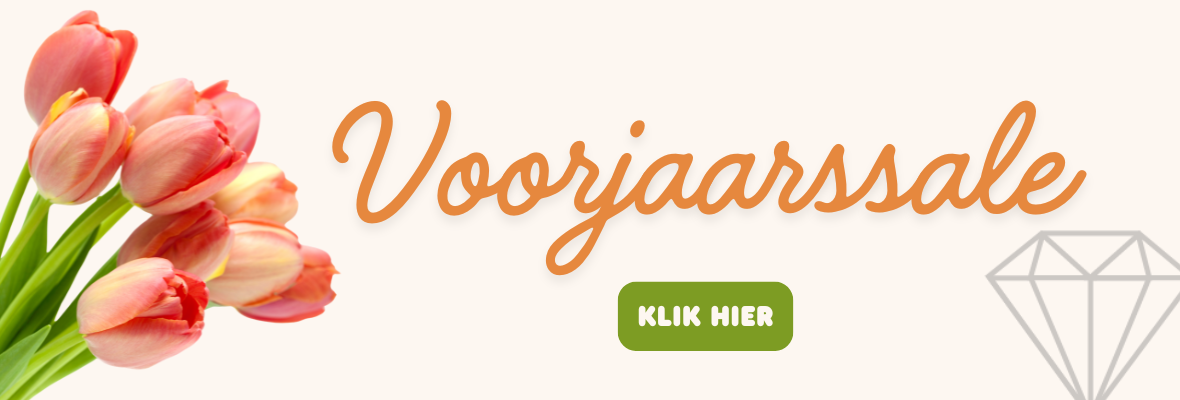 Ga naar de voorjaarssale