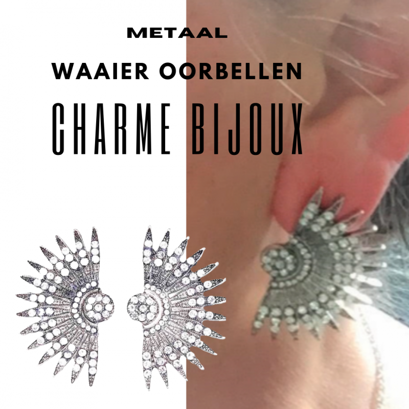 Oorbellen- Waaier- Zilverkleur