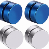 Set magneet-8 mm-oorbellen- B- Zilverkleur- Blauw