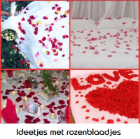 500 Rozenblaadjes Roze- Geel