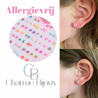 12 Paar oorbellen- 100% Allergievrij