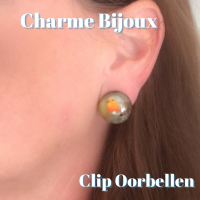 Clip Oorbellen-Cabochon-2 cm-Rond-Roodborstje