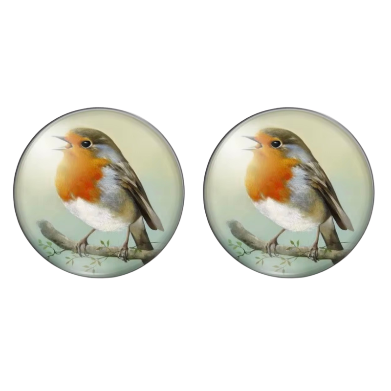 Clip Oorbellen Cabochon 2 cm Rond Roodborstje