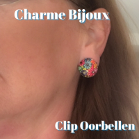 Clip Oorbellen-Cabochon-2 cm-Rond gekleurde bloem