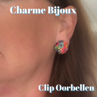 Clip Oorbellen-Cabochon-2 cm gekleurde bloem