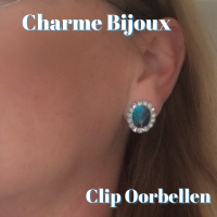 2 paar-Set-Clip Oorbellen-Kunststof-Ovaal-Zwart-midden Blauw