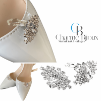 Schoenclips Quinty zilverkleur
