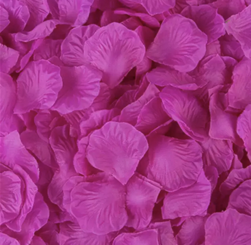 500 Cerise/paars  rozenblaadjes