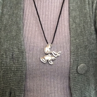 Ketting Kikker Zilverkleur Allergievrij 80 cm