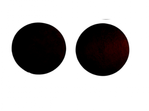 Oorbellen Zwart Hout 2 cm