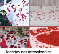 500 Rozenblaadjes Rood