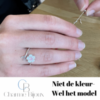 2-Delig-Zilver-Ilse-Ketting-Ring-Paars