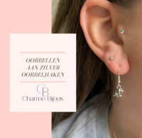 Oorbellen Zilver klein Hondje