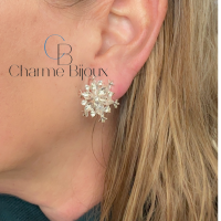 Clip Oorbellen Ster Zilverkleur 2.5 cm
