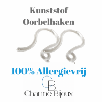 Allergievrije oorbellen- Filigraan- Open ovaal- Zilverkleur