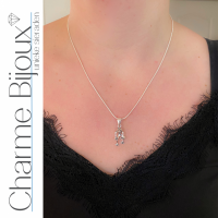 2 Delig Kikker set ketting oorbellen