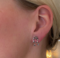 2 Delig Kikker set ketting oorbellen