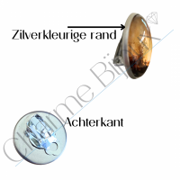 Clip oorbellen bruin zilverrand 2 cm Sandy