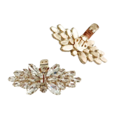Schoen clips goudkleurig strass
