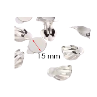 10 clips zilverkleur 15 mm