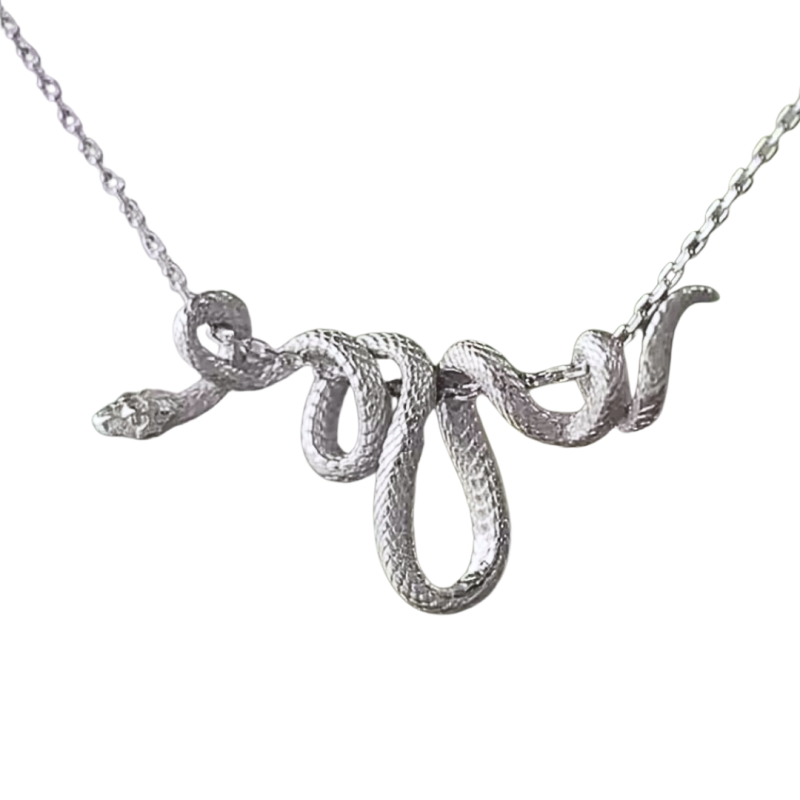 Ketting slang zilverkleur Ketting slang zilverkleur