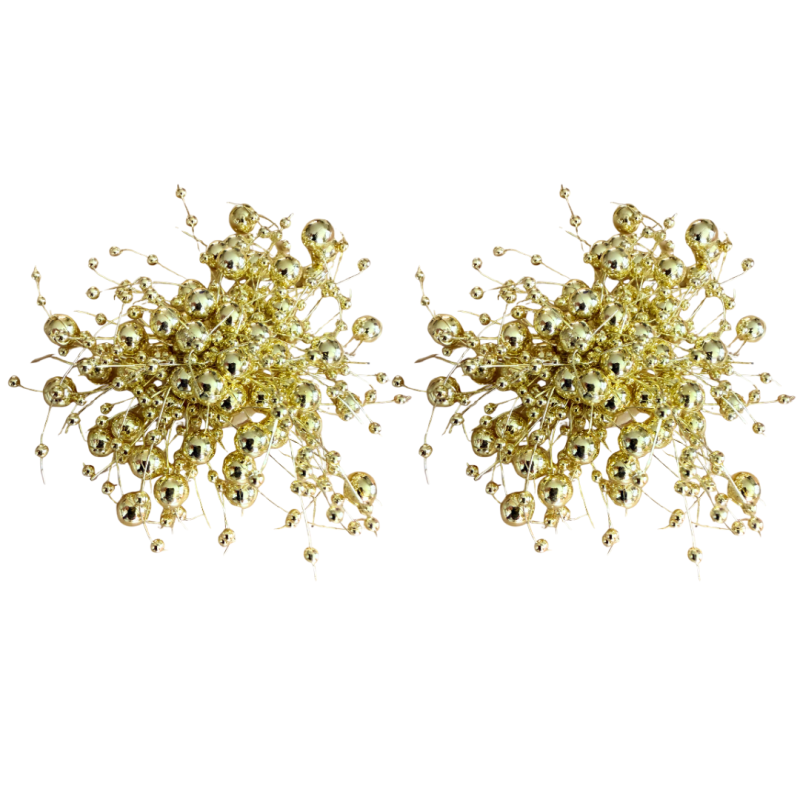 Schoen/ teenslipper clips Goudkleurig kraaltjes