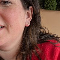 Oorknopjes  schroef shiny RVS