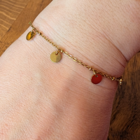 Armband RVS muntjes goudkleurig  17+5cm