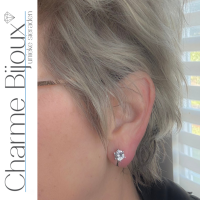 Clip oorbellen luxe zilrkonia kroon zilverkleur