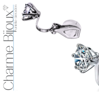 Clip oorbellen luxe zirkonia kroon zilverkleur