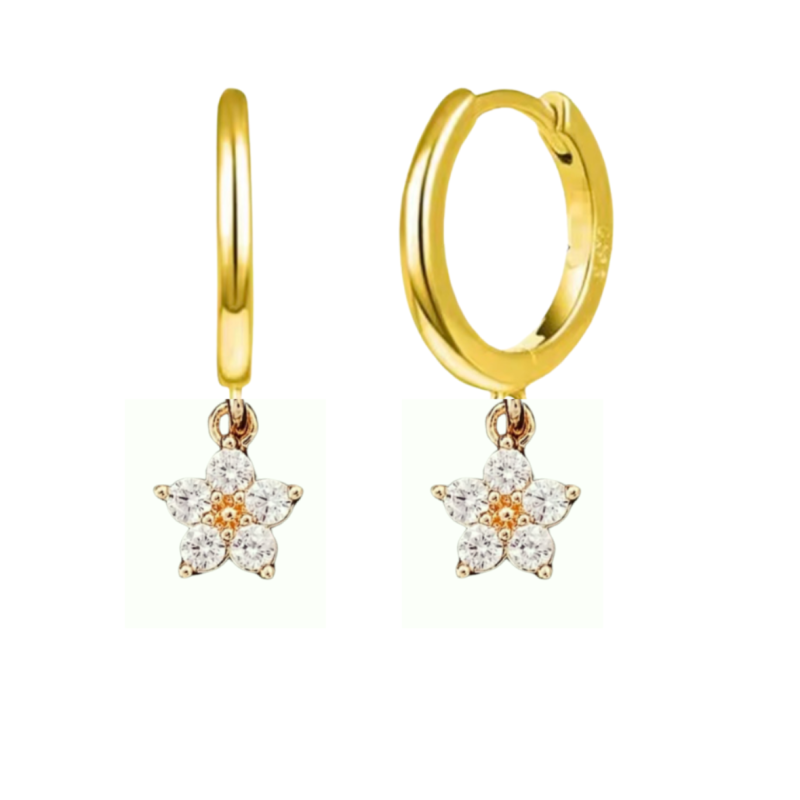 Goud plating Oorringen  zirkonia